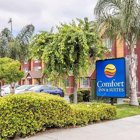 Comfort Inn & Suites Salinas Eksteriør billede